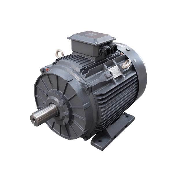 TEC Electric Motor Three Phase 3PH160KW2PB3T3 160KW 3000rpm Foot Mounted IE3